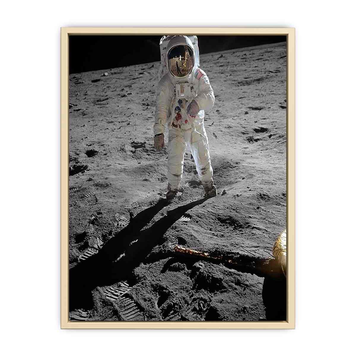Astronaut Walk on Moon