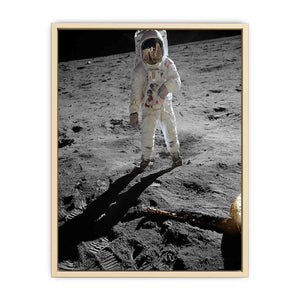 Astronaut Walk on Moon