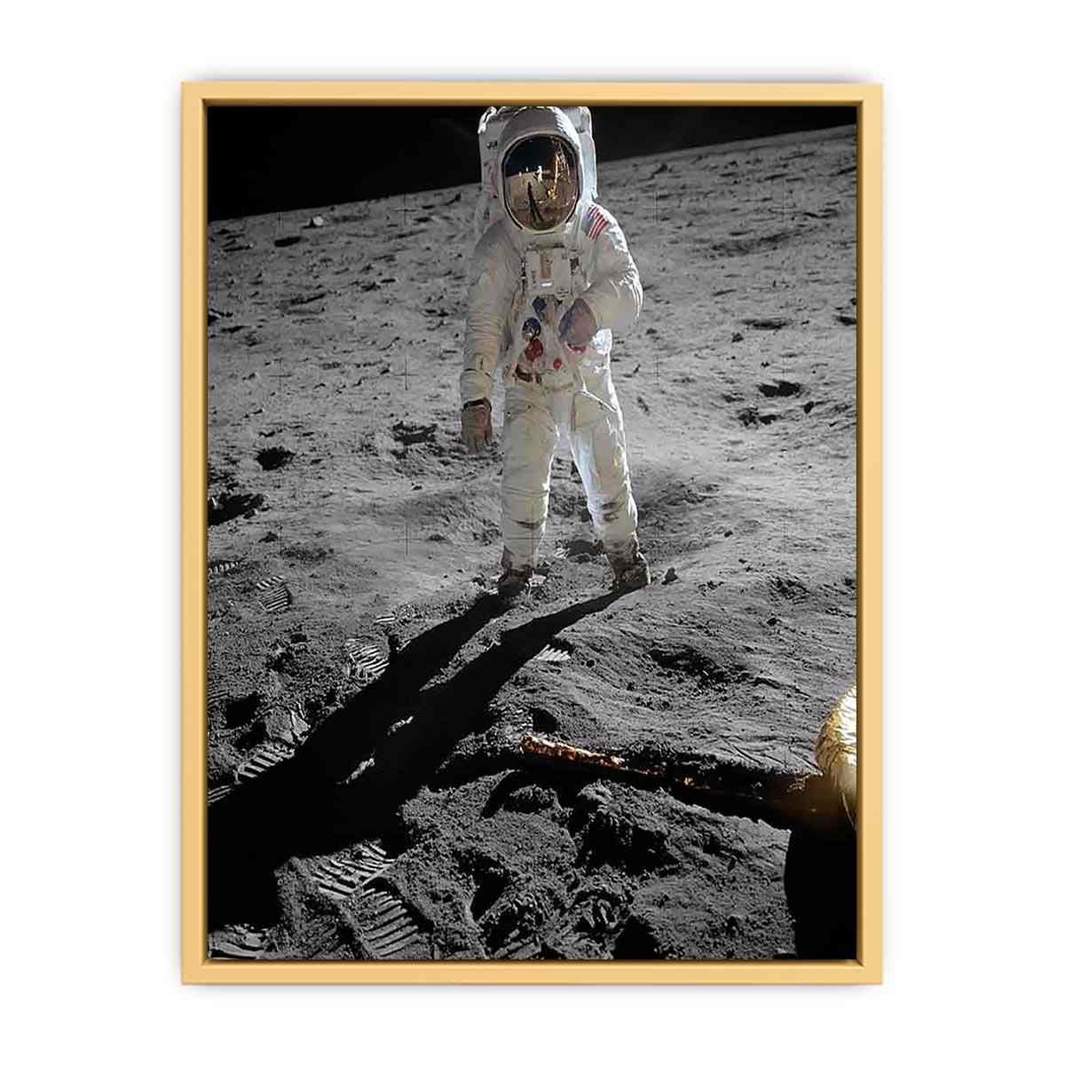 Astronaut Walk on Moon