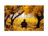 Me & Yellow Flowers in Autumn artwork preview