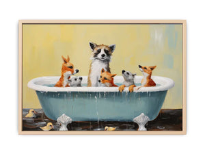 Animal Bathing  In Tub