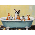 Animal Bathing  In Tub