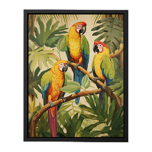 Tropical  Parrotsg