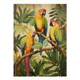 Tropical  Parrotsg artwork preview