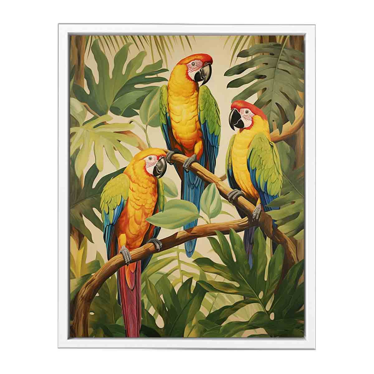Tropical  Parrotsg
