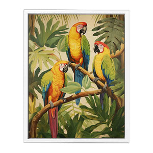 Tropical  Parrotsg