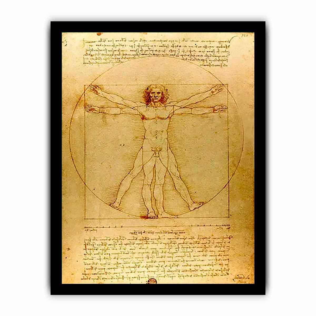 Vitruvian Man by Leonardo Da Vinci