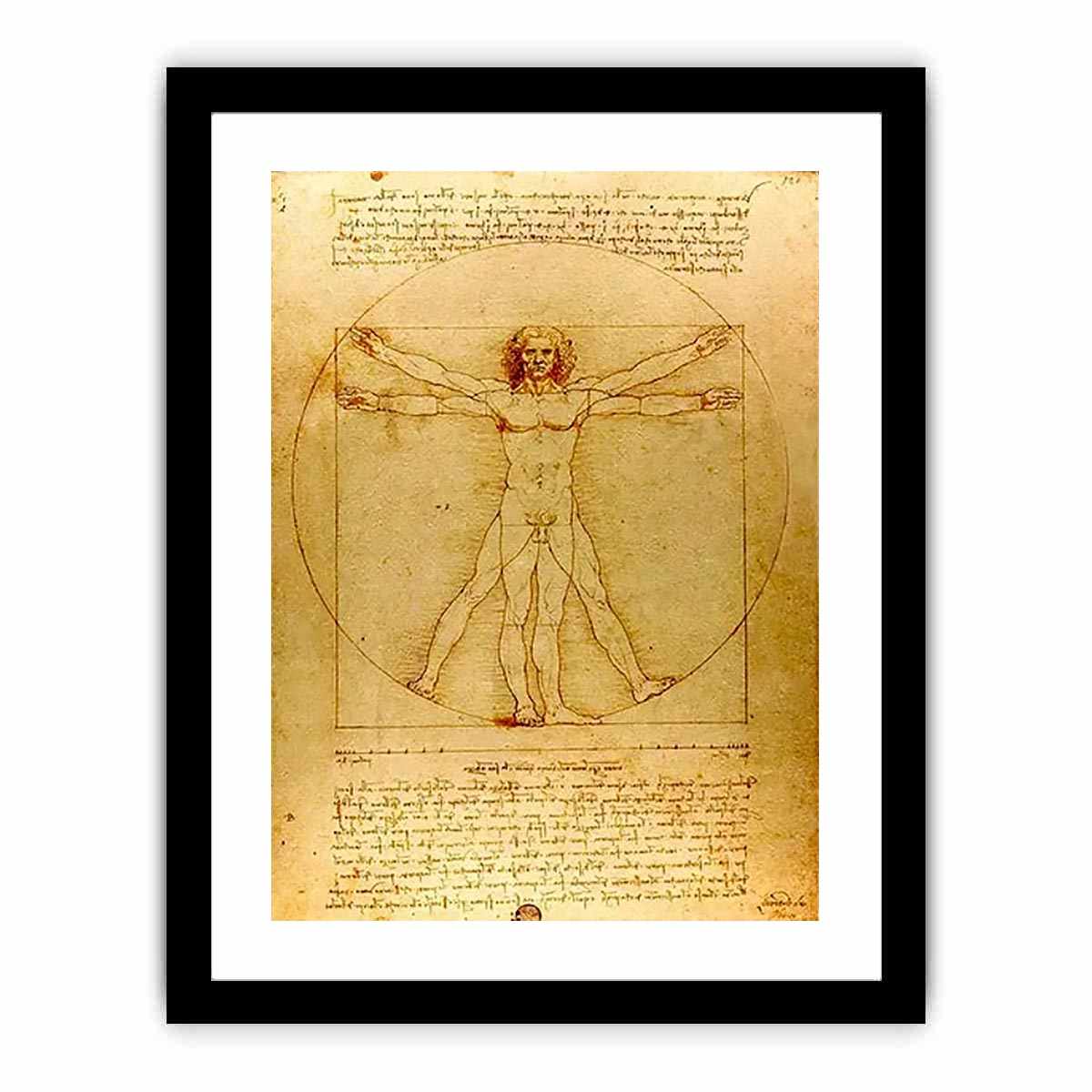 Vitruvian Man by Leonardo Da Vinci