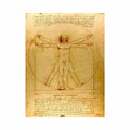 Vitruvian Man by Leonardo Da Vinci