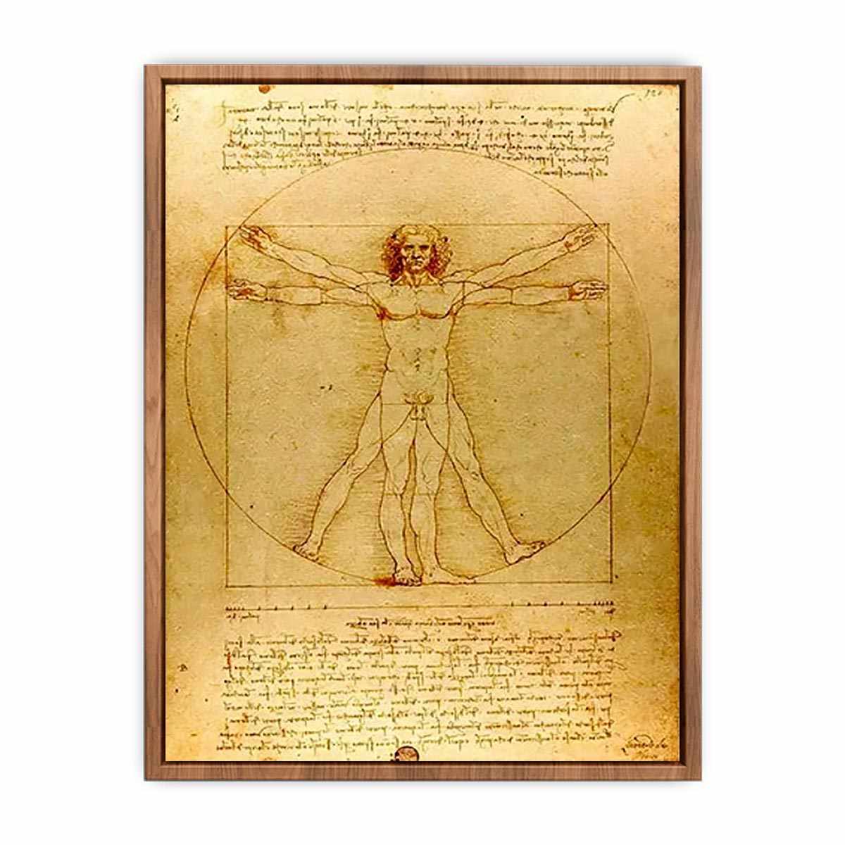 Vitruvian Man by Leonardo Da Vinci