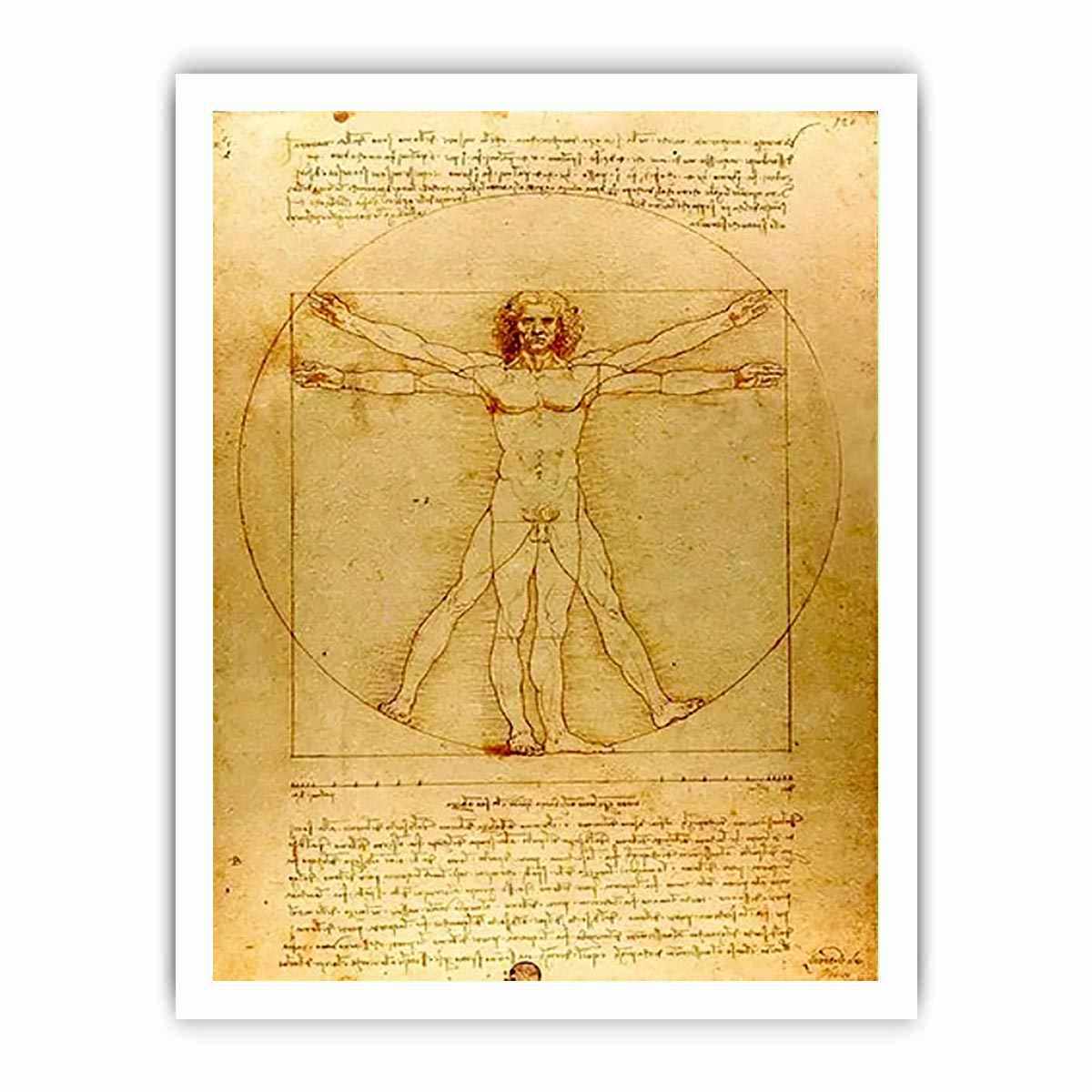 Vitruvian Man by Leonardo Da Vinci