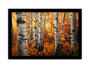Birch Trees
