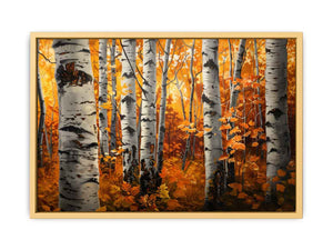 Birch Trees
