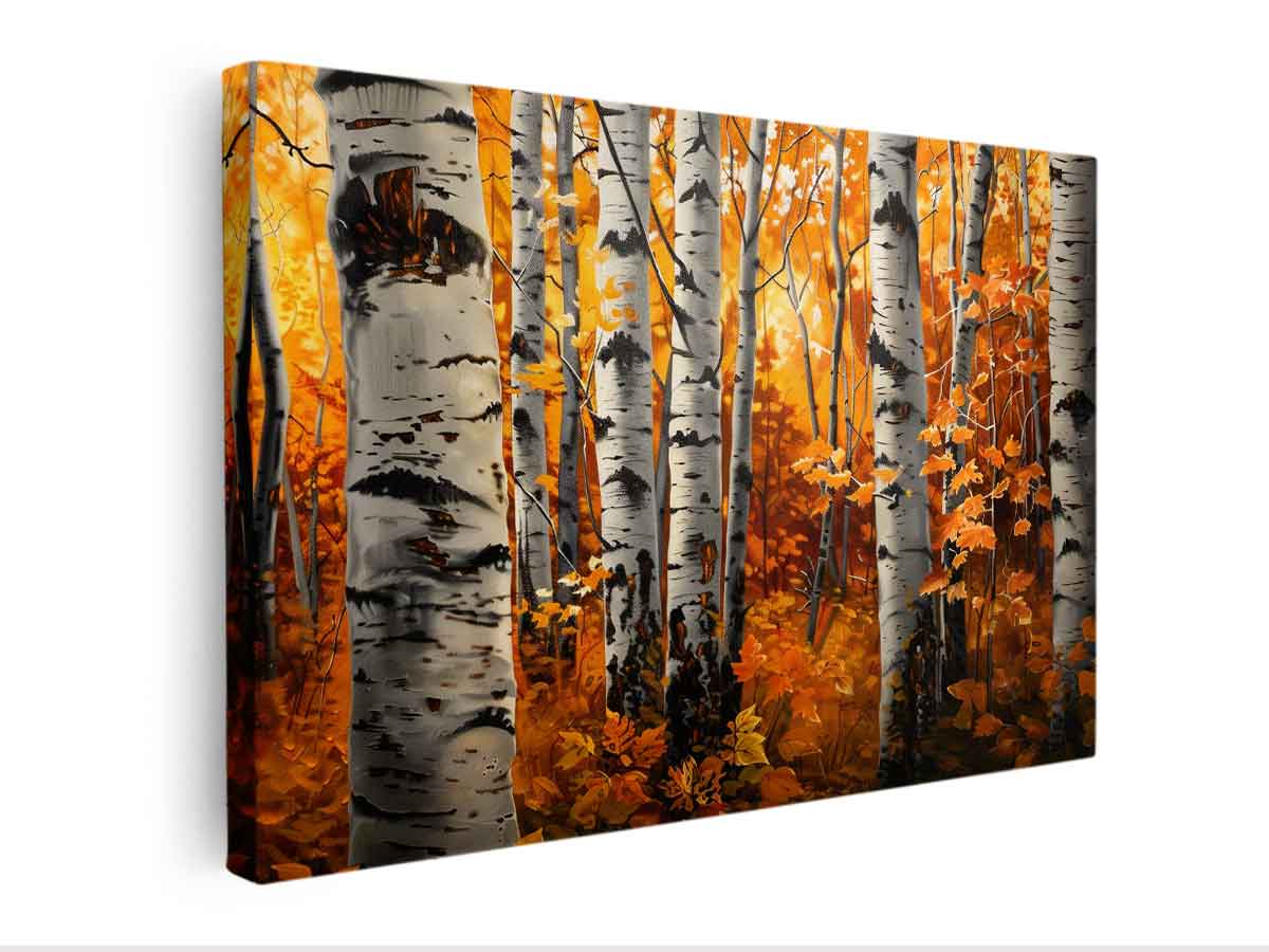 Birch Trees