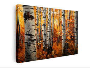 Birch Trees
