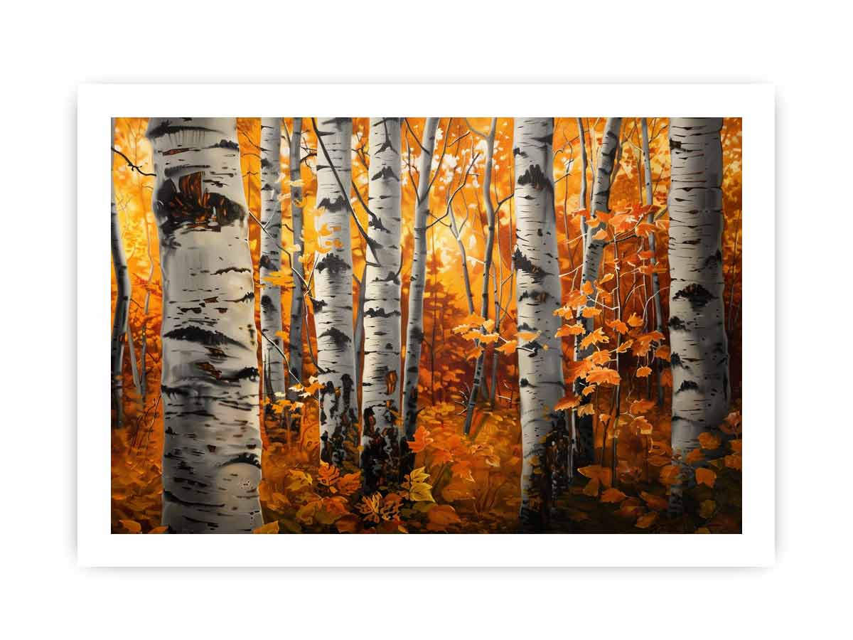 Birch Trees