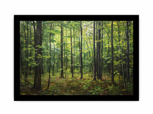 Northern Hardwood Forest Painting