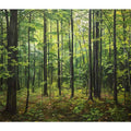 Northern Hardwood Forest Painting