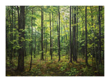 Northern Hardwood Forest Painting artwork preview