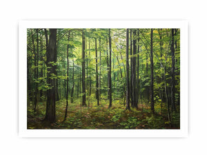 Northern Hardwood Forest Painting