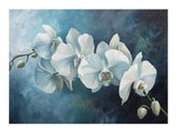 White Orchid  Painting artwork preview