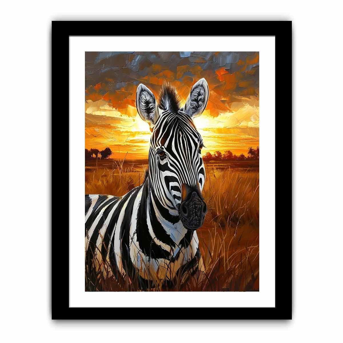 Zebra