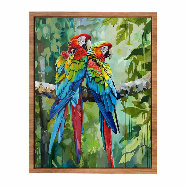 Parot Love Birds