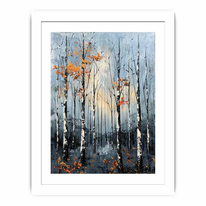 Birch Forest