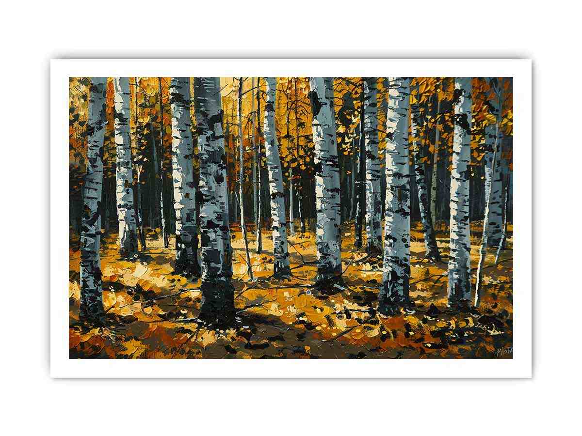Birch  Trees