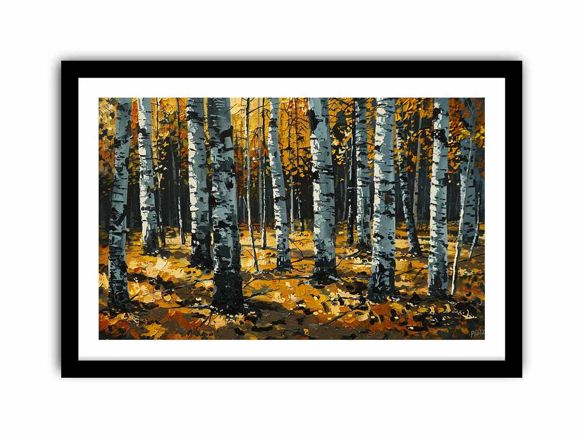 Birch  Trees