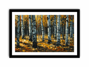 Birch  Trees