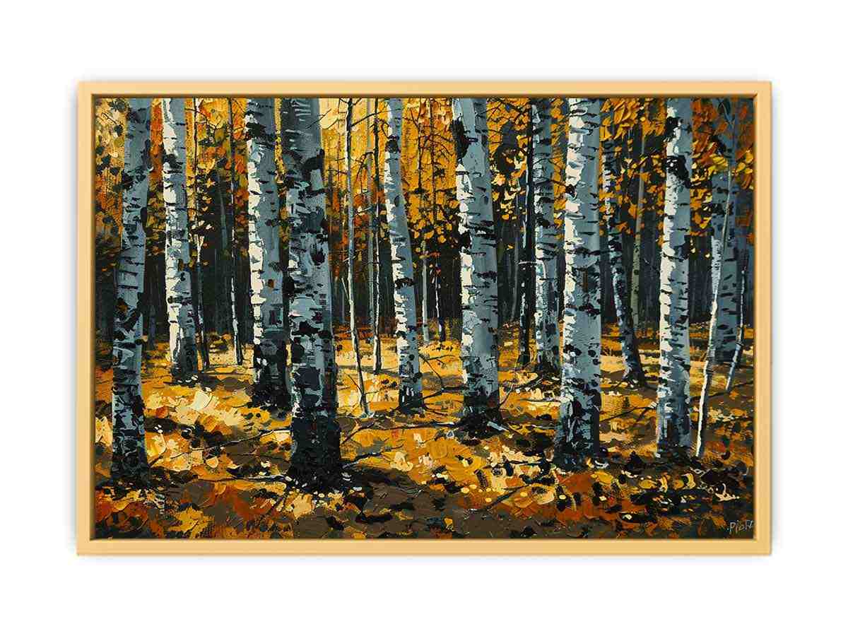 Birch  Trees