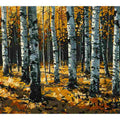 Birch  Trees
