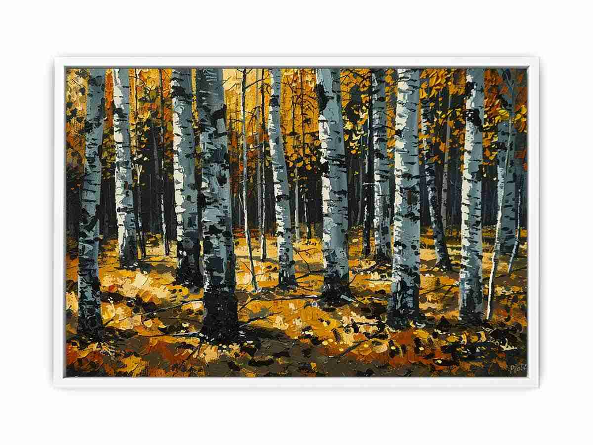 Birch  Trees