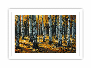 Birch  Trees