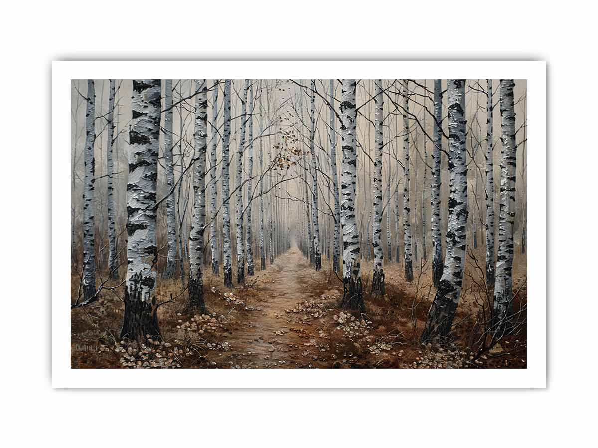 Grey Birch Trees