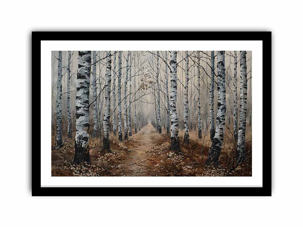 Grey Birch Trees
