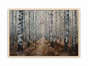 Grey Birch Trees