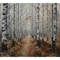 Grey Birch Trees