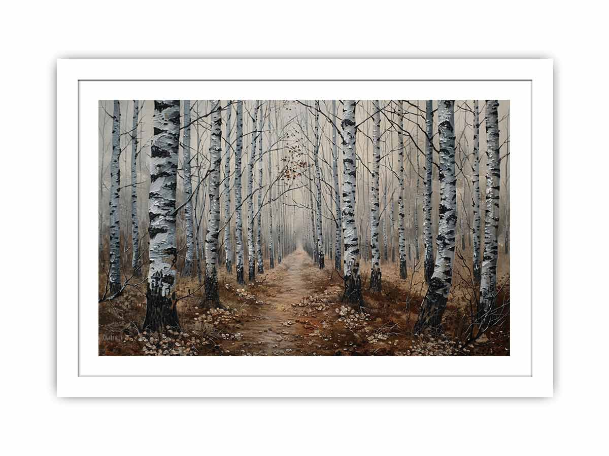 Grey Birch Trees