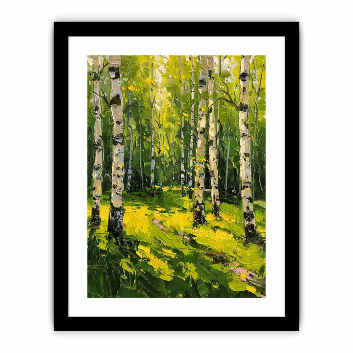 Birch Trees