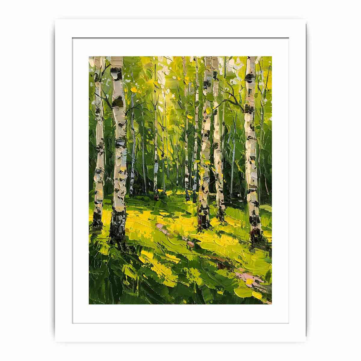 Birch Trees