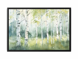 Birch Trees