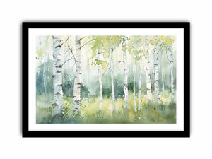 Birch Trees