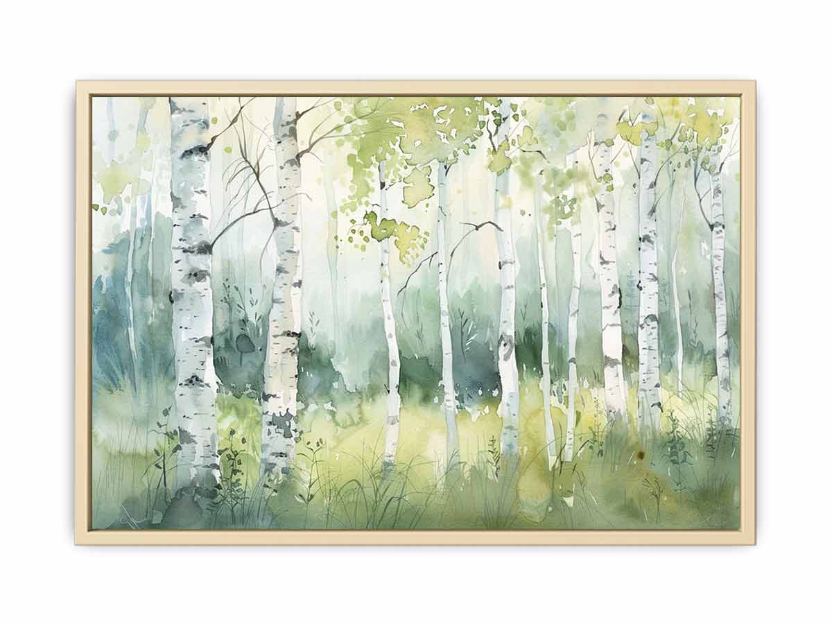 Birch Trees