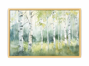 Birch Trees
