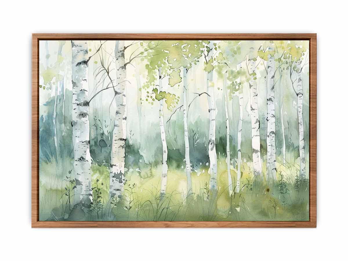 Birch Trees