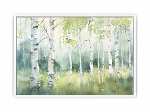 Birch Trees