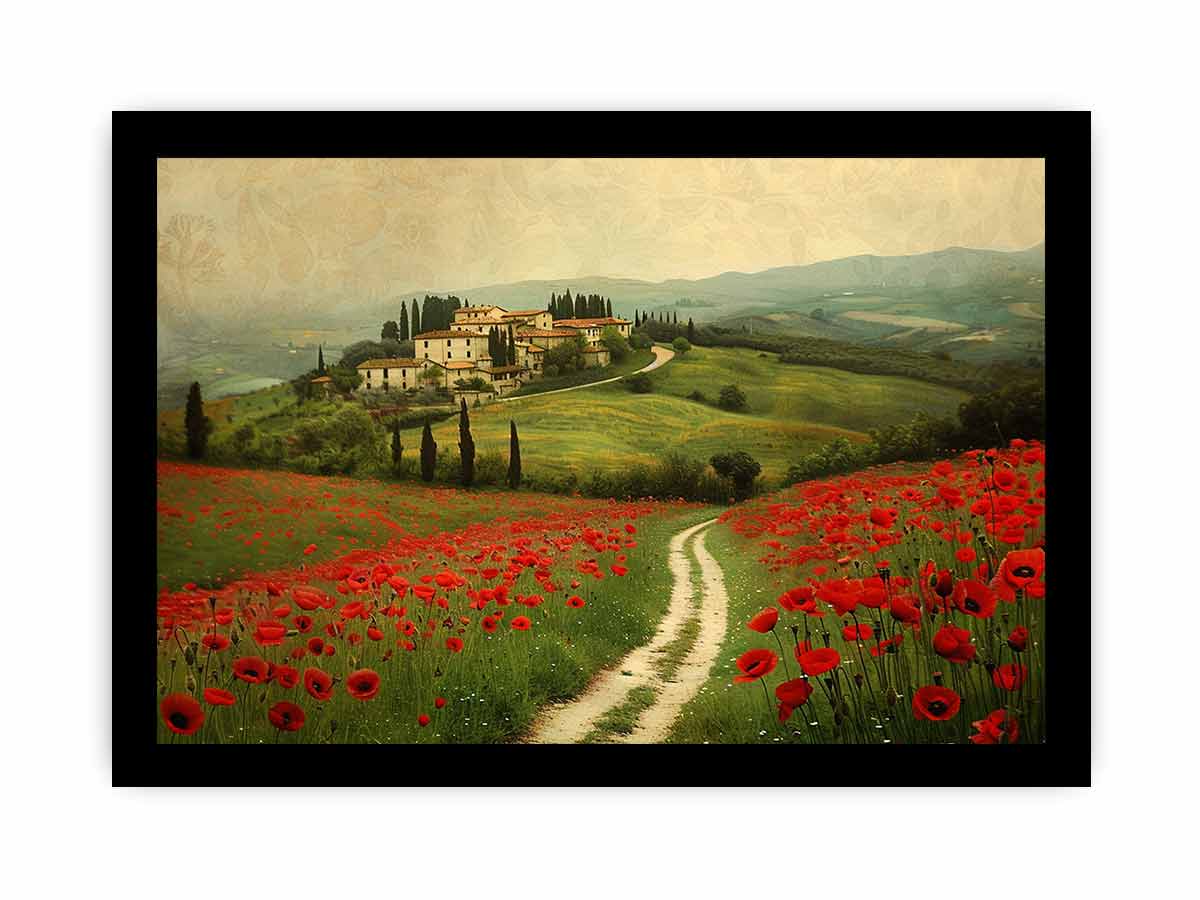 Beautiful Field Of Poppies
