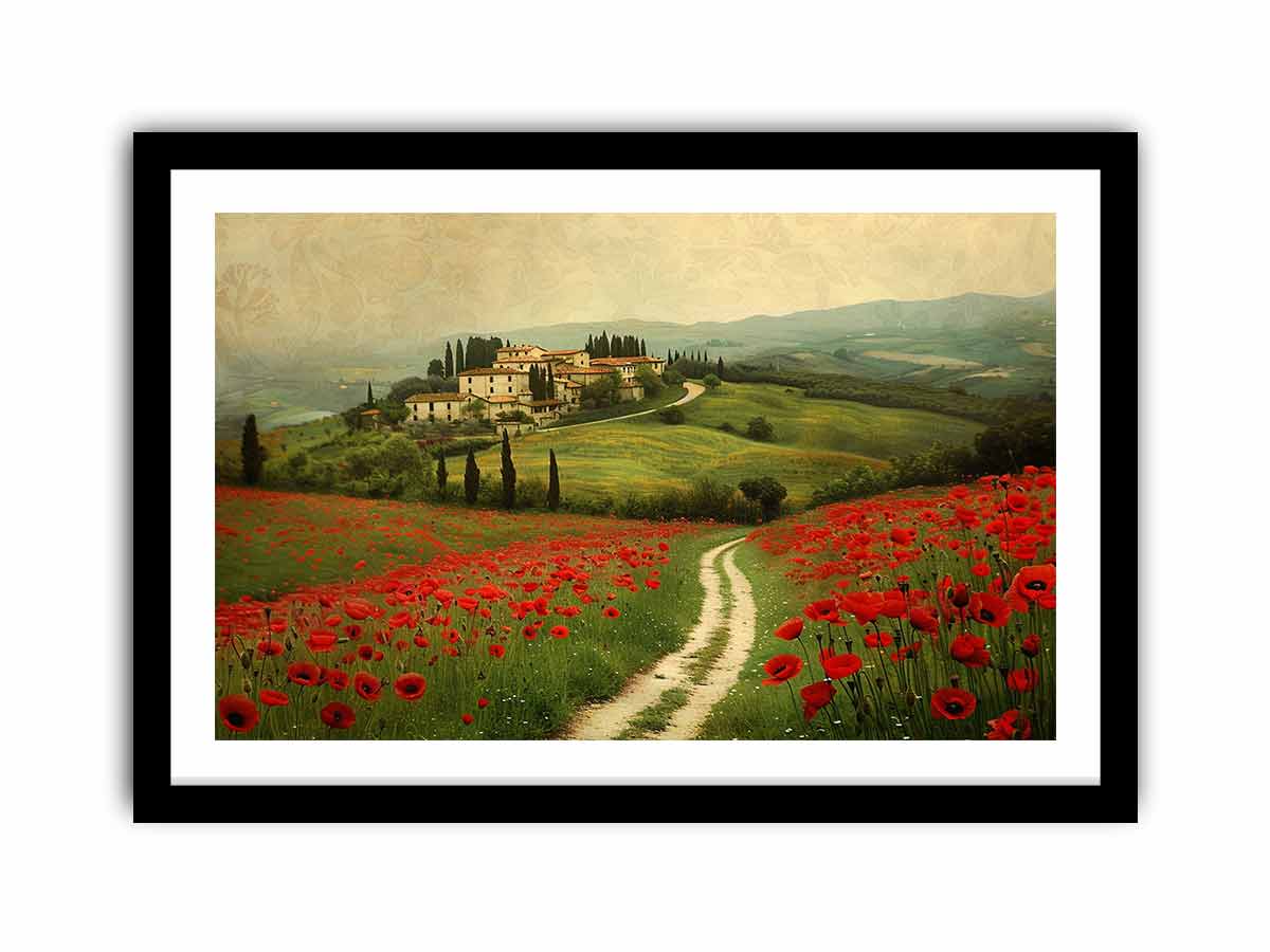 Beautiful Field Of Poppies